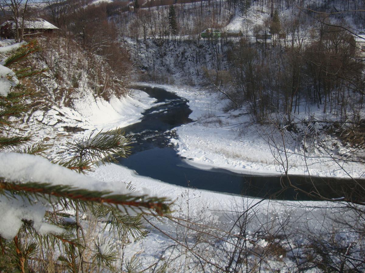 Котедж Гірський Jaremtsche Exterior foto